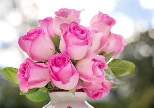 Procon: pre&ccedil;o das flores varia mais de 40% na cidade