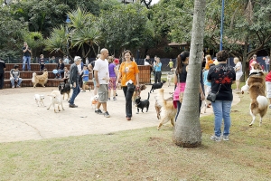 Espa&ccedil;o Canino &eacute; inaugurado no Parque Catarina Scarparo D&acute;Agostini
