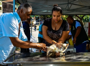 Santo Andr&eacute; inicia campanha de vacina&ccedil;&atilde;o animal no dia 15 agosto